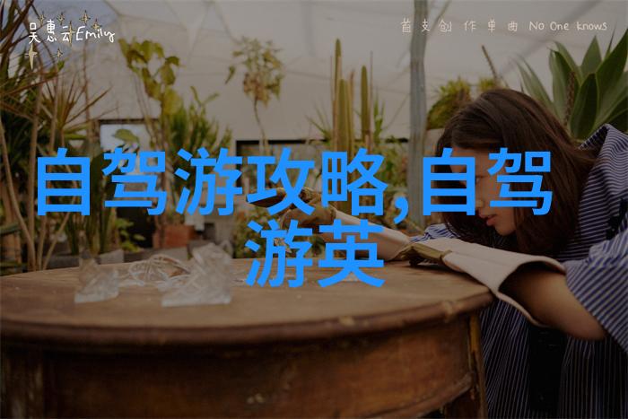 幼儿园户外活动100个我和小朋友一起探索大自然的乐趣
