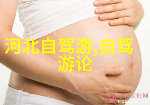 西安吃货必去的地方 - 品味古城美食从巷弄里的小吃到大盘鸡的诱惑