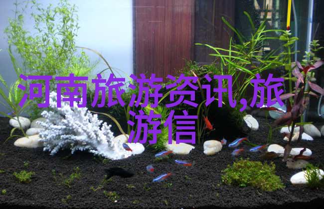 骑行之旅探索城市与自然的美丽线路