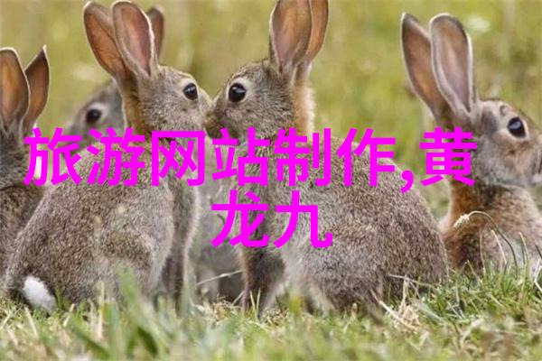 二手自行车个人出售我的老朋友寻找新主人