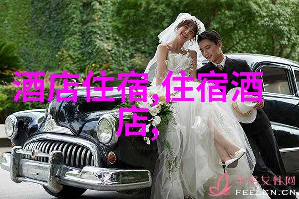 雪乡旅游攻略-探索冬日奇迹雪乡游览指南