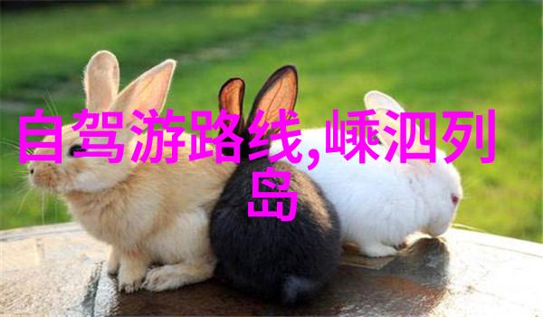 走近自然感受艺术中国十大旅游胜地带你去哪里