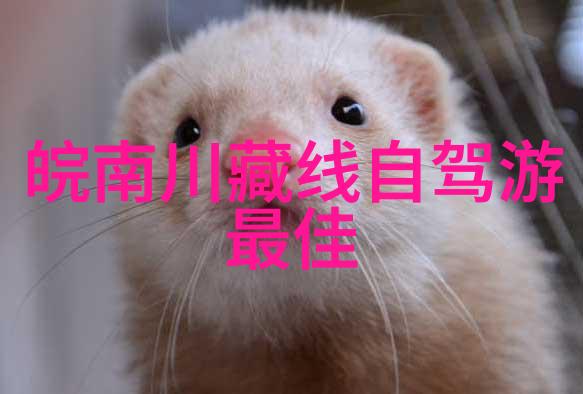 张纪中版西游记诠释古典神话的现代艺术