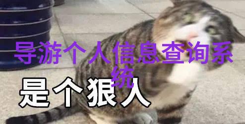 东方明珠下的足迹探索上海的秘密角落