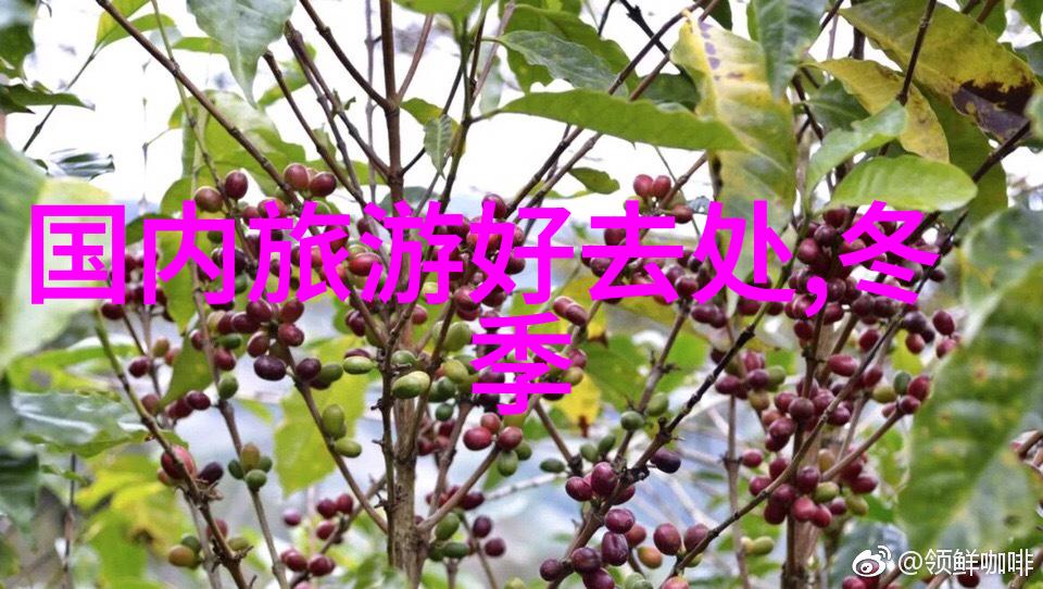 探索湖北之美从武汉到宜昌揭秘省内最迷人的旅游景点