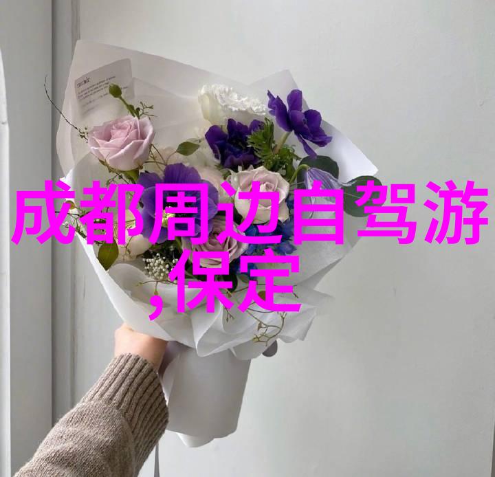 视频分享平台的崛起回顾2009年优酷空间的发展历程