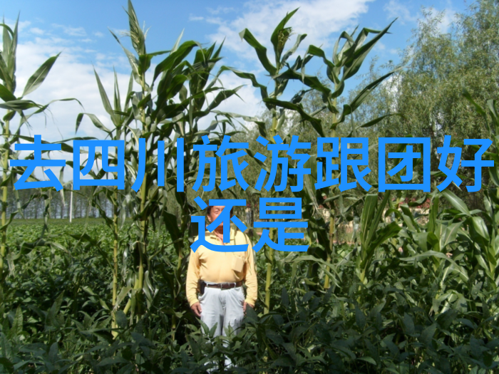 四姑娘山景区游玩攻略敦煌旅游探秘的双重奏鸣