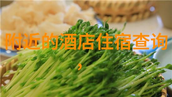成都旅行社电话号码-寻找春熙路上的旅途秘密