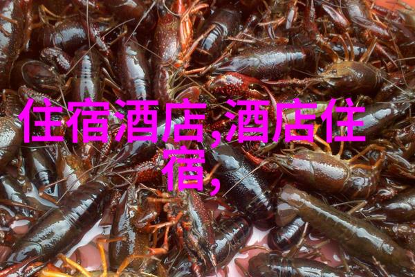 全国有名的小吃街探秘从北京到广州品味不同地方的风味