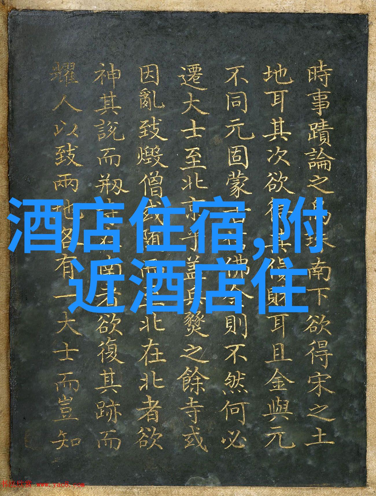 中班户外探险记录我们的冒险足迹