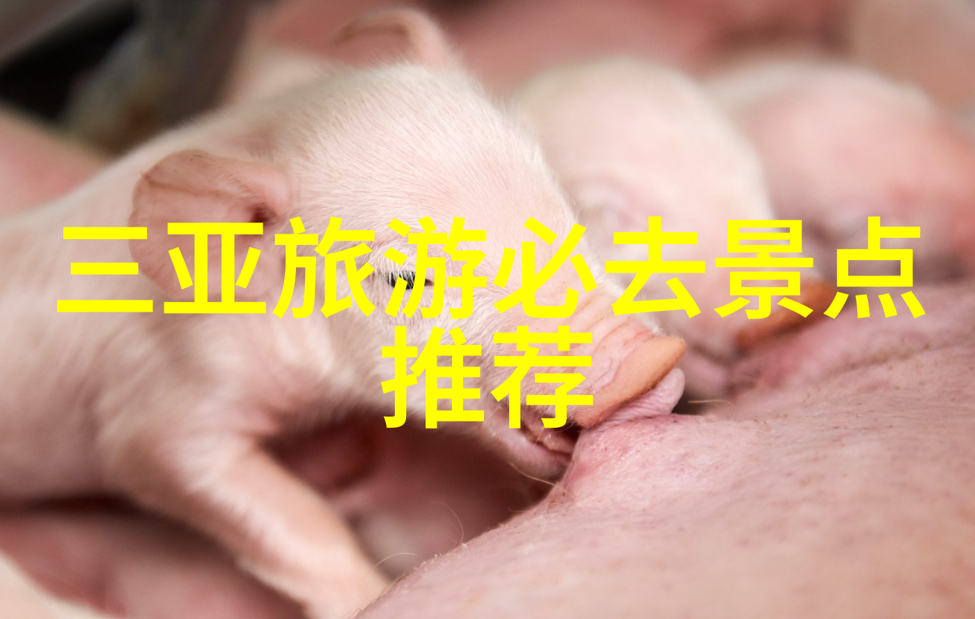 中国最美旅游胜地揭秘探索自然奇观与人文古迹的双重魅力