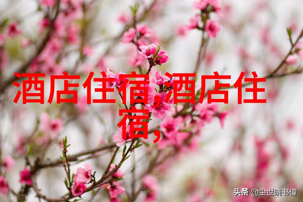 探索中国奇迹一览国内旅游景点精选