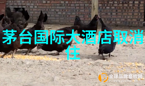 京城周边探索古韵与现代的自驾奇遇