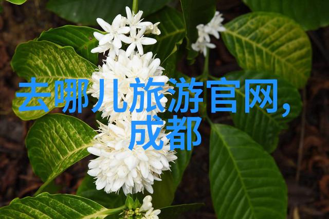 厨房探秘-金银花下的味道揭秘下厨房中的传统中药美食