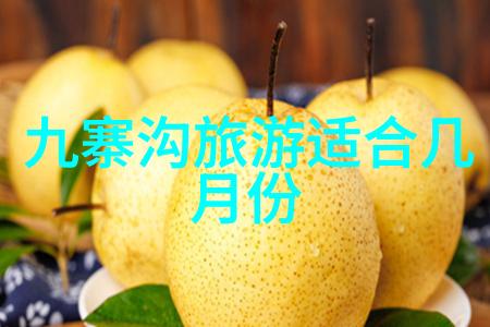 荒野求生与城市逃逸户外活动五大类型的反差探索