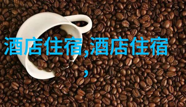 户外探索大班儿童活动观察与记录的宝贵财富