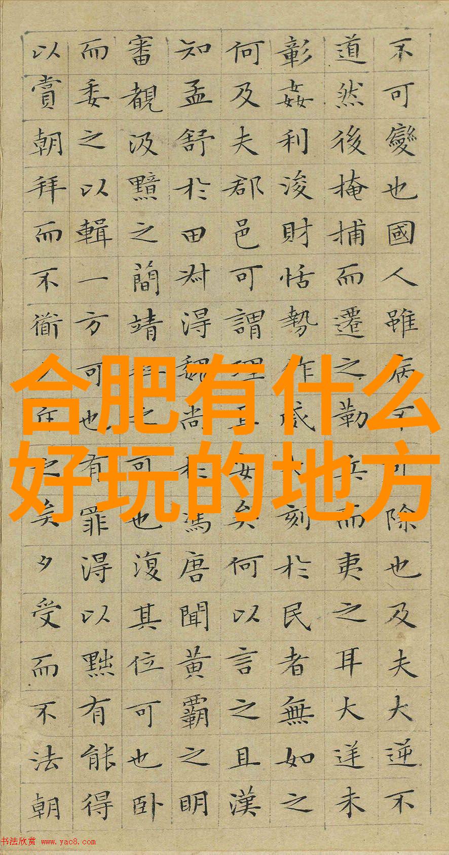 户外团建野性生存挑战