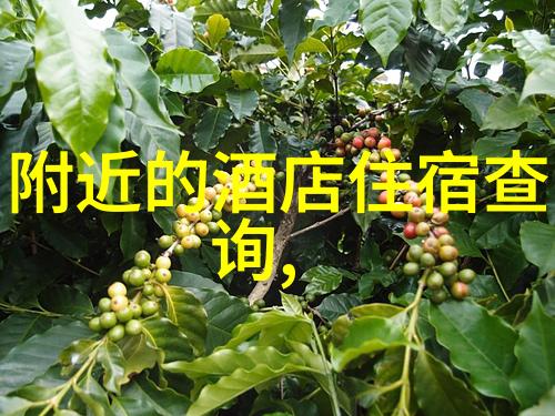 海南岛上的翠绿宝库九龙山国家森林公园