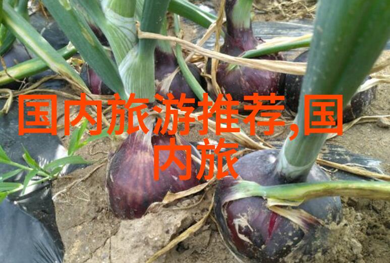 公路骑行的利与弊Cervelo新剑锋C系列发布