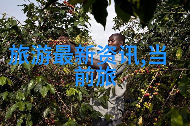 普陀山旅游攻略我是怎么在普陀山玩出色的小秘诀