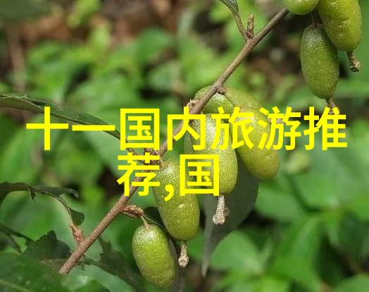 重庆成都旅游攻略来吧这趟自由行你不用慌
