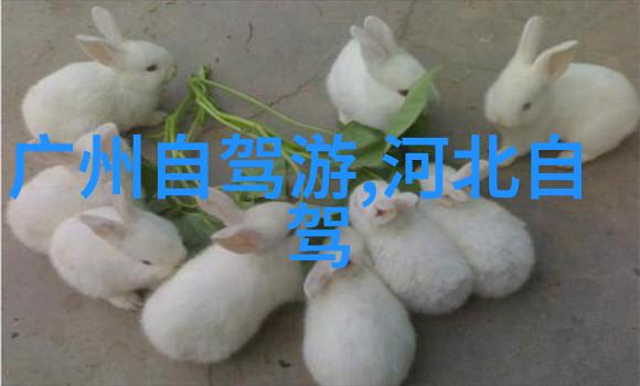 探索风情岛城自驾游厦门攻略全解析