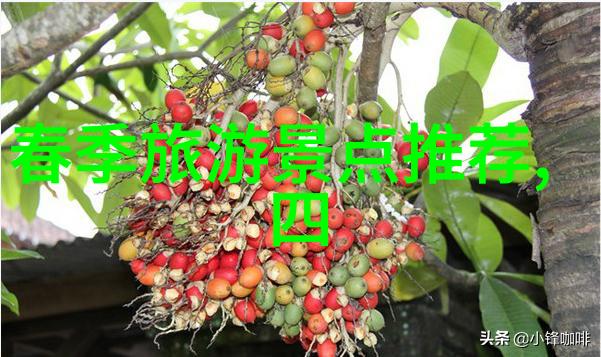 健康生活每天骑车40分钟的功效活力全开体魄双强