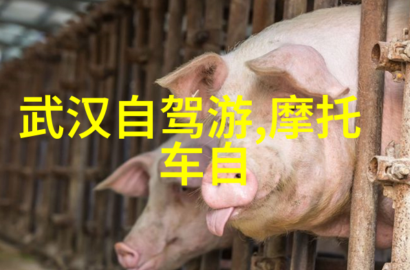 旅游局职位空缺寻找旅行爱好者与管理专才合一