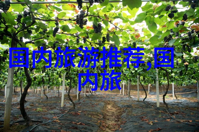 紫金港风情揭秘南通紫金港的魅力