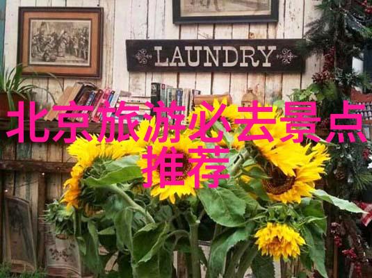 雨后彩虹下的山间漫步