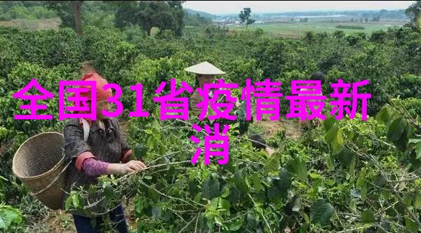 北京自助游全方位指南