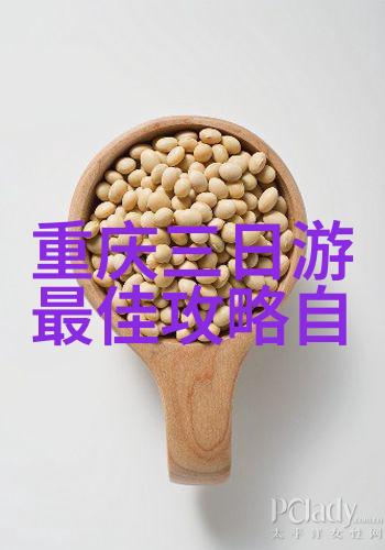 南昌美食风情揭秘那些难忘的小吃魅力
