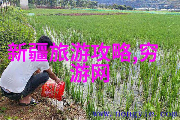 全国旅游线路图及景点-绘卷天下揭秘中国最美的旅行之路