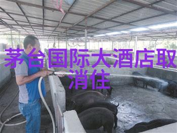 策划完美之旅如何编写一份详实的旅游攻略