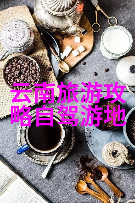 小学生作文游记-夏日野外探险寻找闪耀的火fly