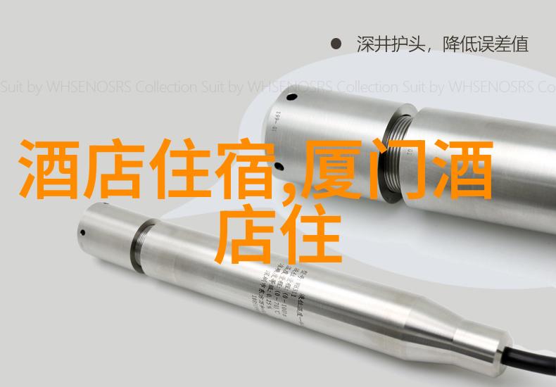 从园博园的哪个门轻盈步入探索简单旅游网站上灯会的璀璨秘密