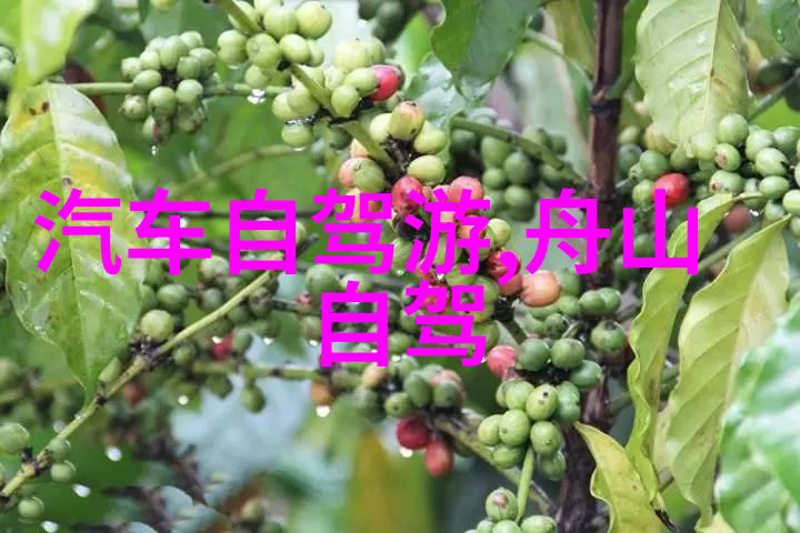 周边自驾游探索未知的乐趣与美好记忆