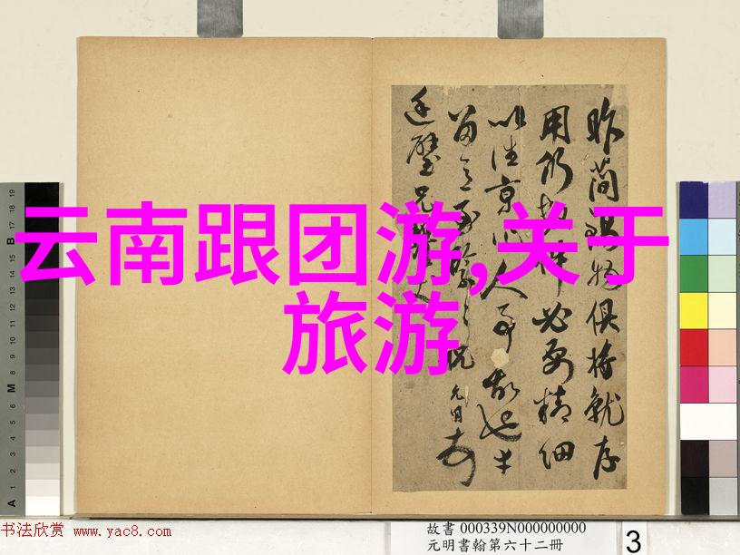 户外乐趣盛宴探索趣味活动游戏大全