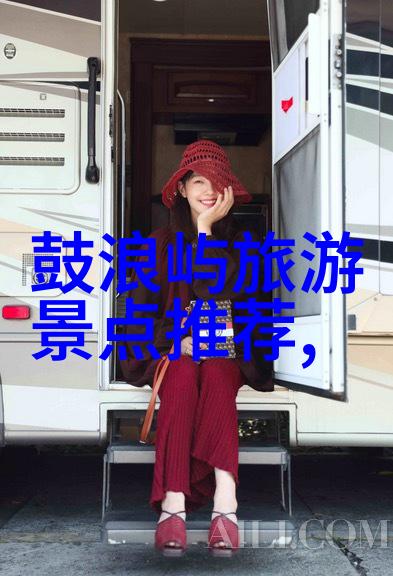 锦绣华楼九子夺嫡的血与梦