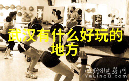 为什么不建议买折叠自行车别被便利蒙蔽了双眼我为啥不会推荐你购买折叠自行车