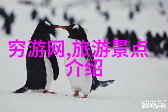 遗失的知识寻找达瓦更扎的真实面目