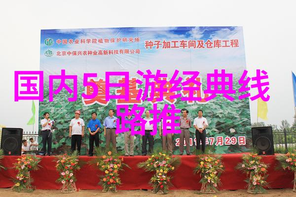 上海日结城市的脉搏与晨曦的守望