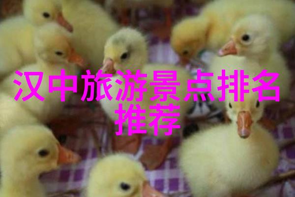 九寨沟旅行指南探索天然奇迹的最佳途径与费用预算