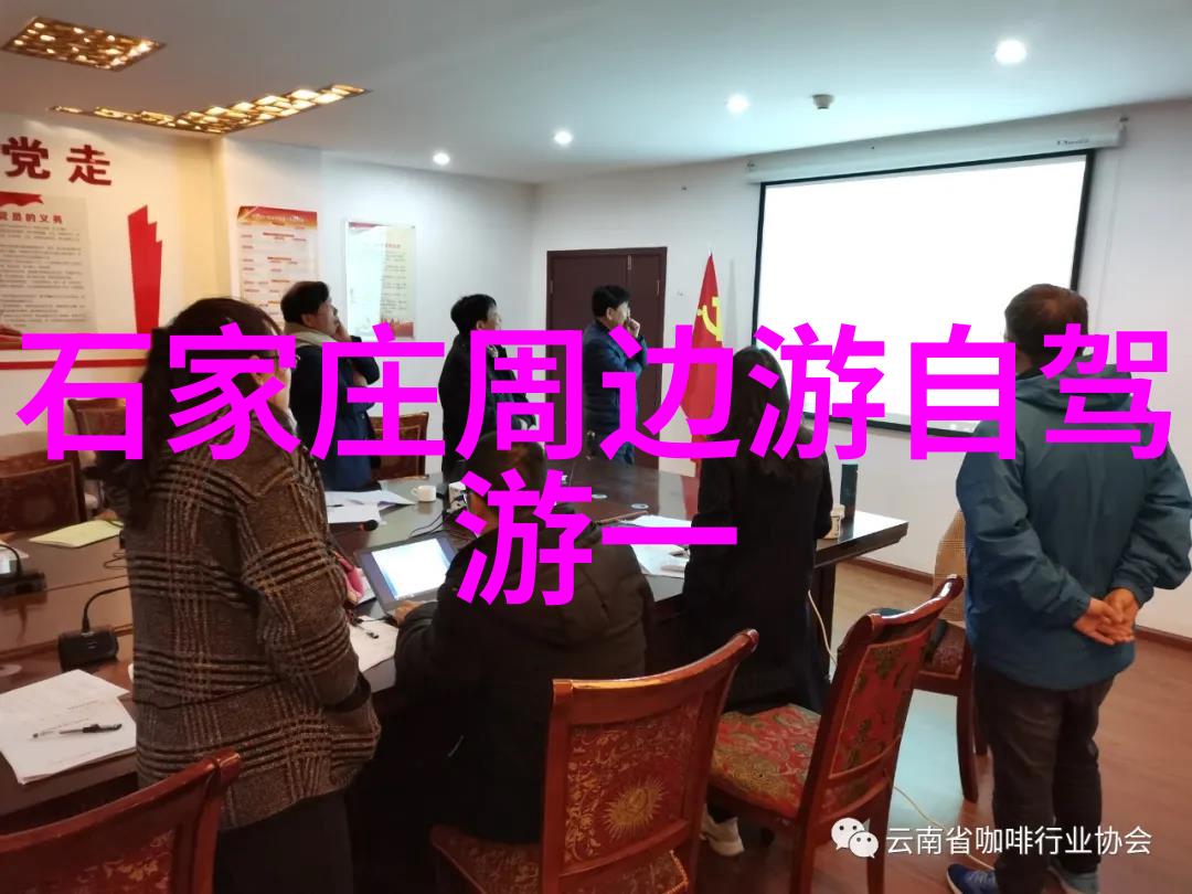 骑行速度的极限一小时二十公里的挑战与思考