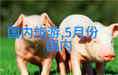 西游记浙版-金猴笑语重聚江南的古风奇遇