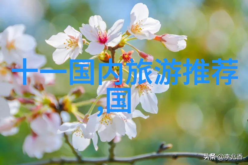 中国旅游城市-探索中华大地揭秘中国最美丽的旅行目的地