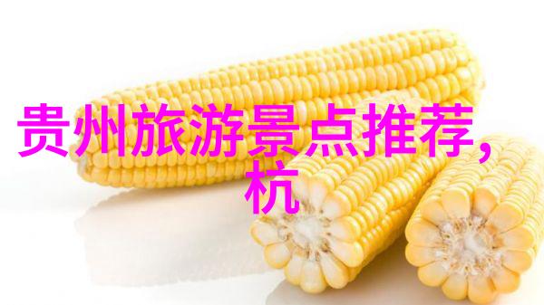 骑行群真的很乱吗探索城市自行车共享系统中的秩序与混乱