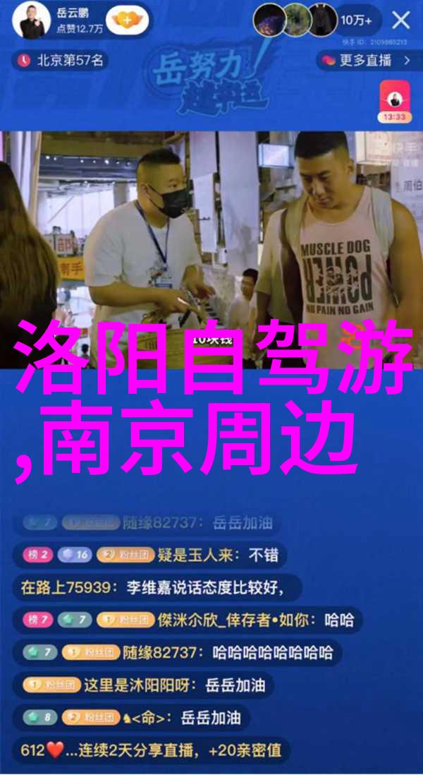 西北风物画卷沙漠之光下的古城故事