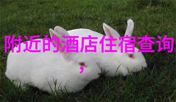 艳艳乡村阅读总结