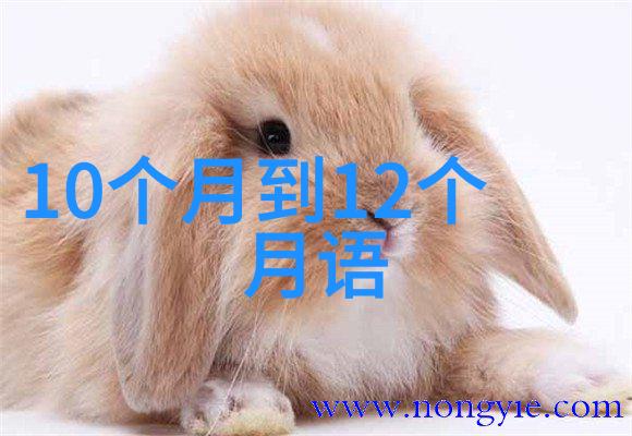 春日愉悦绿茵场上的童真冒险